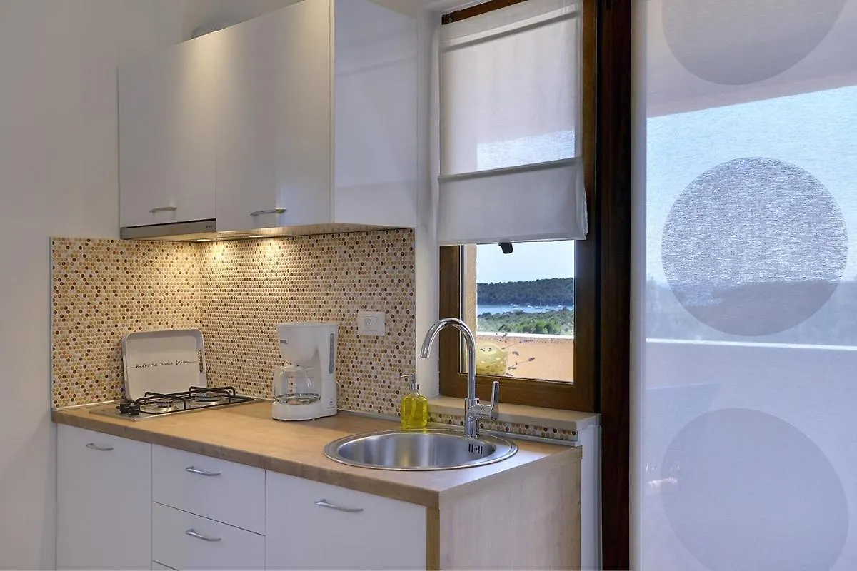 Apartments Buic Vinkuran
