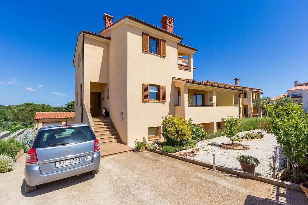 Apartments Buic Vinkuran