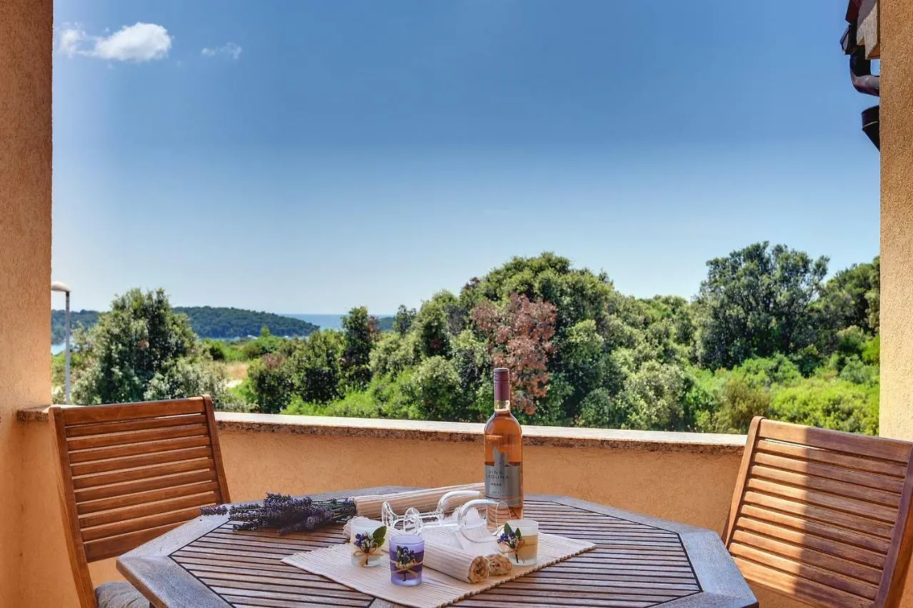 Apartments Buic Vinkuran
